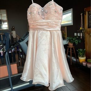 Bee Darlin Prom Dress